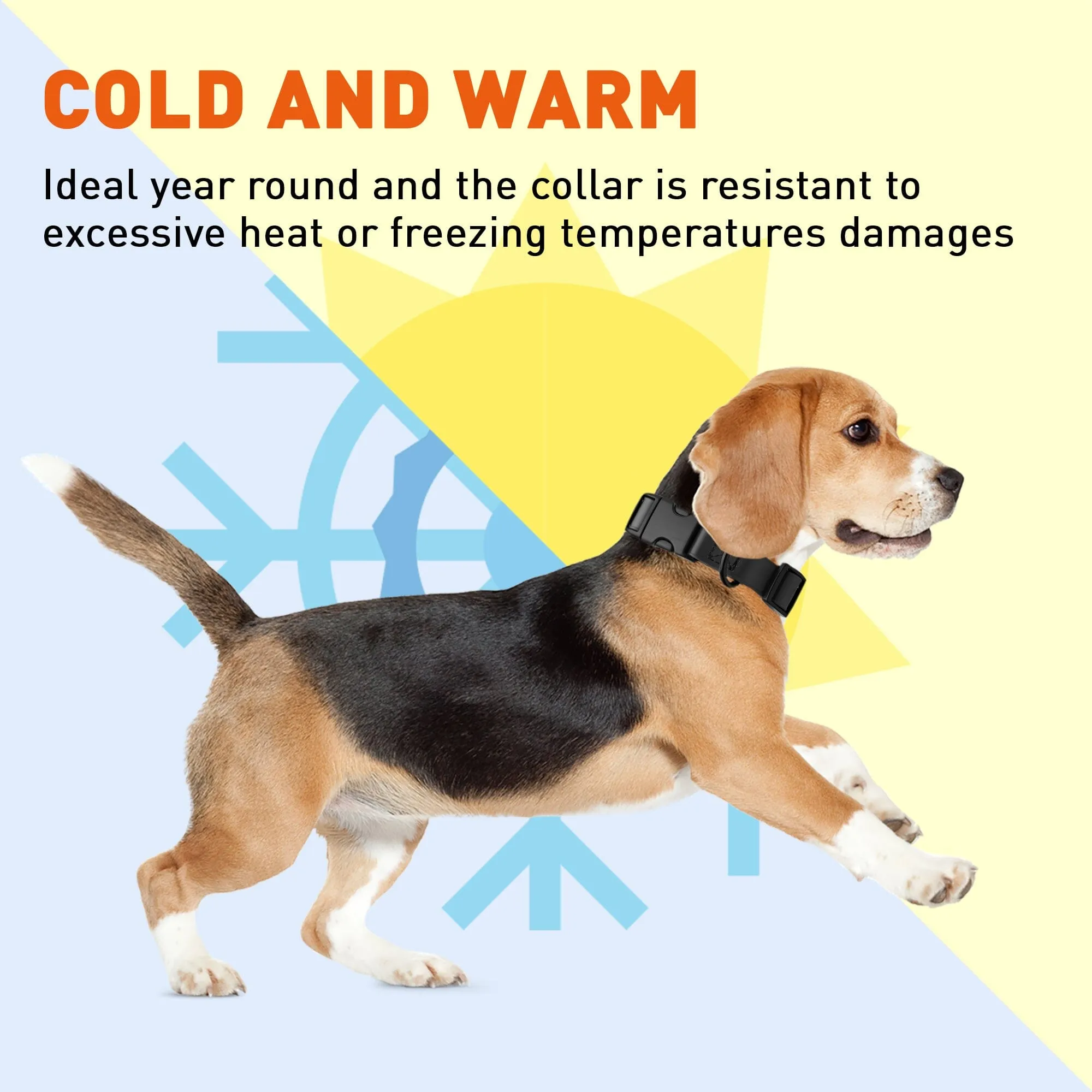 Dogline Biothane Full Color Design Printed Dog Collar with Quick Release Buckle