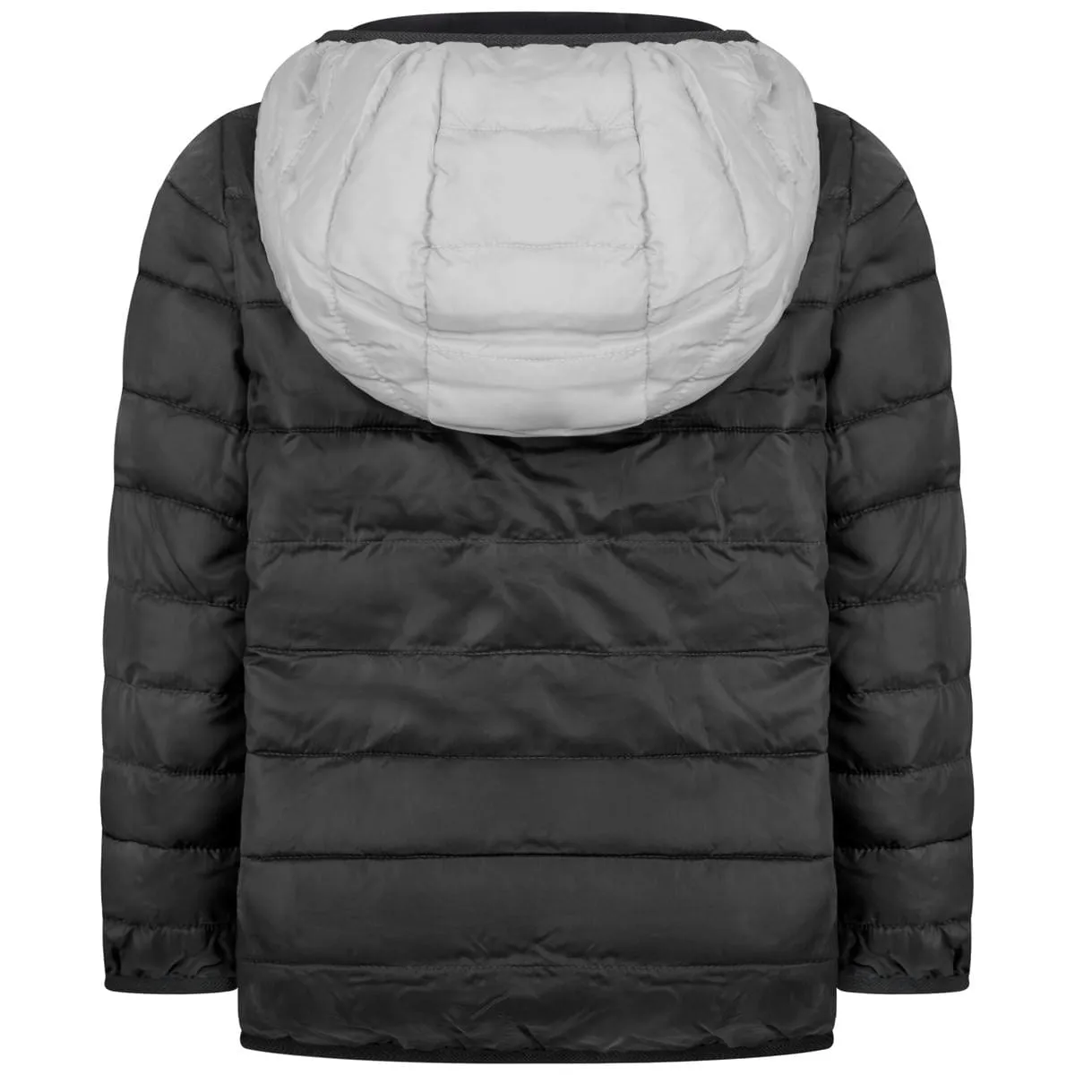 EA7 Emporio Armani Boys & Grey Padded Jacket